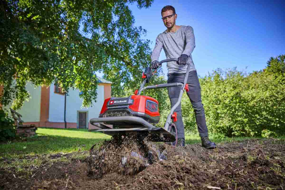 Garten Die wichtigsten Schritte: So gelingt die Garten-Neuanlage optimal - News, Bild 1