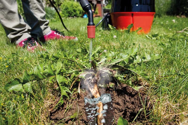 Scheppach Therbio Unkrautvernichtung Im Garten Nur Mit