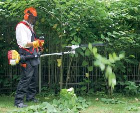 Test Multitool Benzin Wolf Garten Motortrimmer Gt S 4 29dl